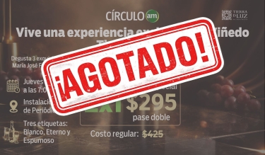 Cata Exclusiva Tierra de Luz: Una Experiencia Enológica de Alto Nivel 